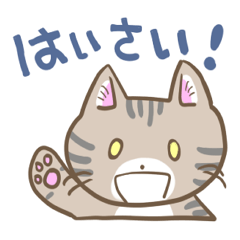 沖縄弁なイリオモテヤマネコさん