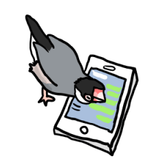 桜文鳥チャッピー第二弾
