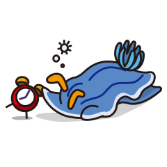 海の仲間たち パート2