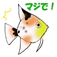 楽しいアクアリウム