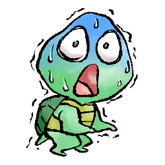 かめなんていかが?
