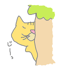 猫のナーくん