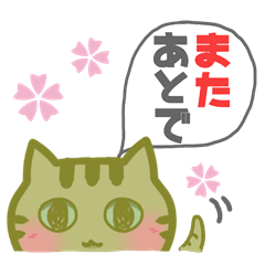 とりあえずねこ(♂)である