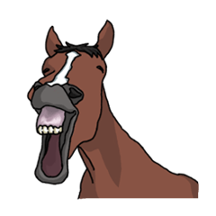 乗馬な暮らし