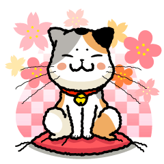 和にゃんこ三毛たま