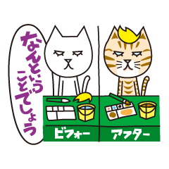 ブロンドウィッグのネコ達
