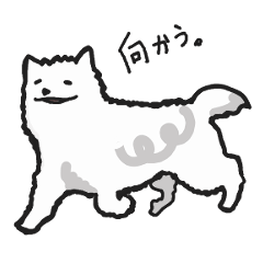 サモエド犬のファーシヴァル