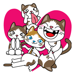 にゃあさん