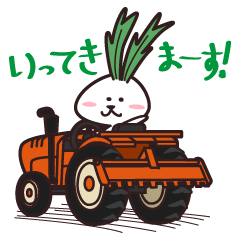 野菜うさぎ