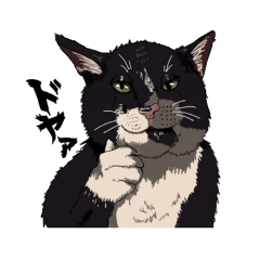 気ままな猫たち