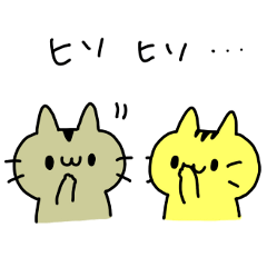 ふたごのネコちゃん!