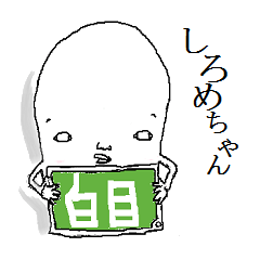 となりのしろめちゃん