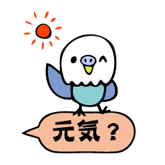 セキセイインコのソラとルナ