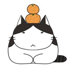 たみ猫