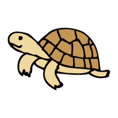 リクガメの日々