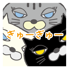 つぶらな瞳のネコ