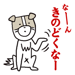 富山の犬