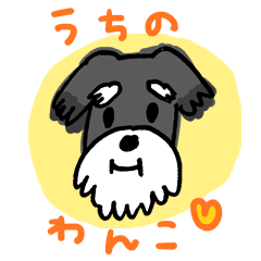 うちのわんこ(シュナウザー)
