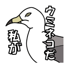 青森県八戸出身「ウミネコさん」。