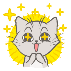 Mochi the cat