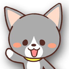 ねここの日常