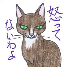 邪眼の猫・チョコたん（乙女座）