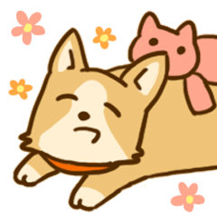 プラス思考なゆるかわワンコ