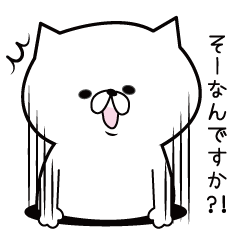 謙虚なにゃんこ