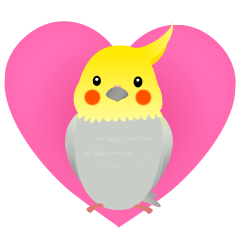 オカメインコが可愛くてつらい