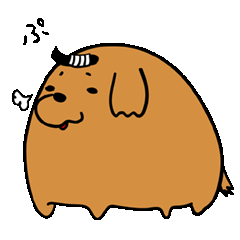 まげ犬