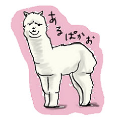 アルパカたち