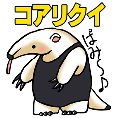 あに丸まにあ～コアリクイ編～