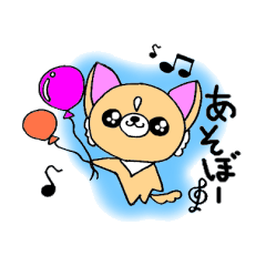 チワワん