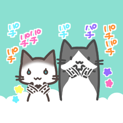 ぷりてぃきゃっと３
