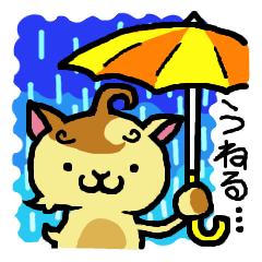 猫毛猫