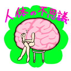 人体の不思議