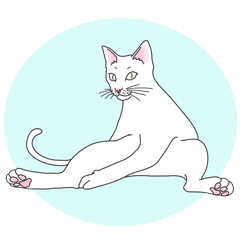 しろねこ。