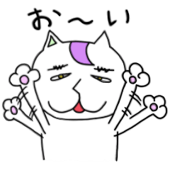 ネコ眉毛
