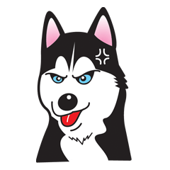 HuskyMe