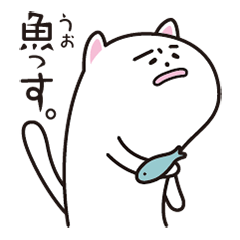 後輩な猫