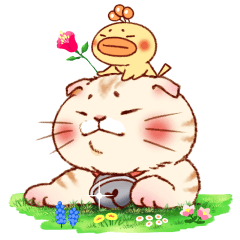 みみコロ!