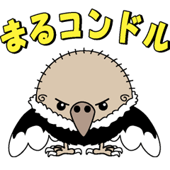 まるコンドル