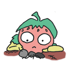 ベリーの小箱