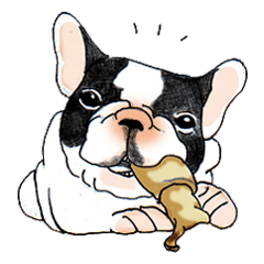 French Bulldog in the house part2