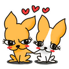なまいきチワワとおっとりチワワ