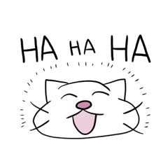 猫の日常〜