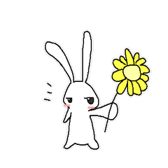 いろいろなうさぎ