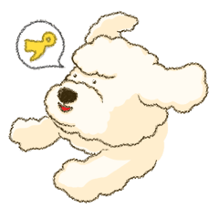 白犬のプードル (修正版)