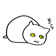 はっきりしないねこ