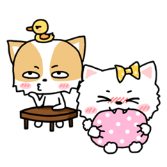 ChiChi & PomPom